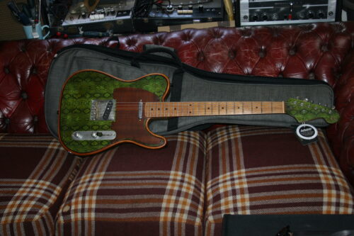 Camden Guitars London Snakeskin T