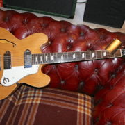 Epiphone Casino Korea peerless ハードケース Yahoo!オークション -「エピフォン カジノ ハードケース」の落札